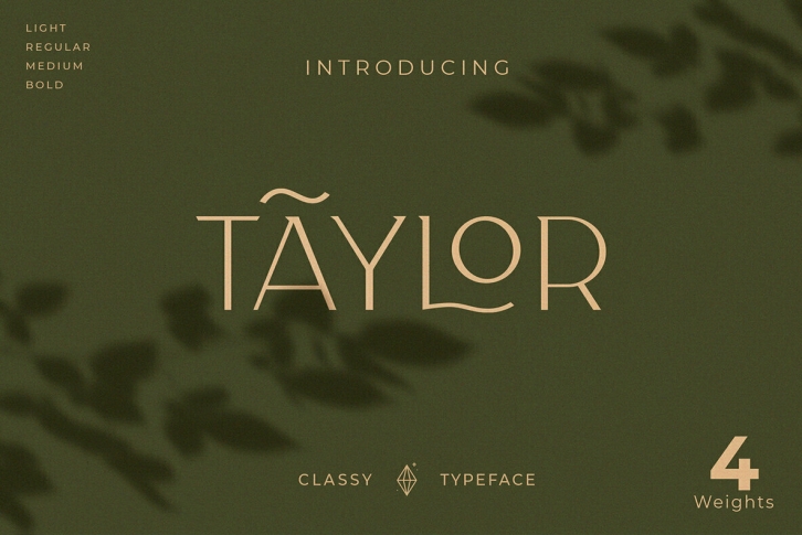 Taylor Typeface Font Font Download