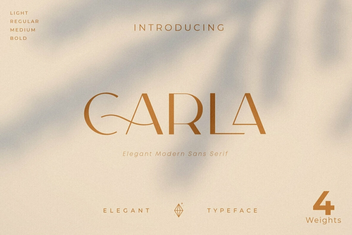 Carla Sans Font Font Download