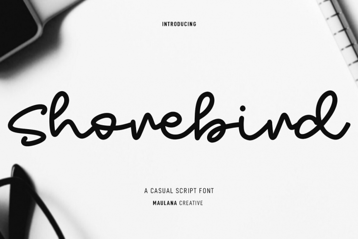 Shorebird Font Font Download