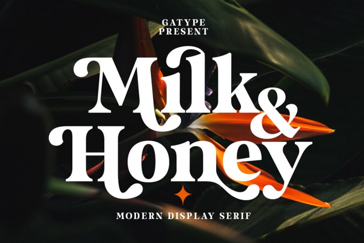Milk And Honey Font Font Download