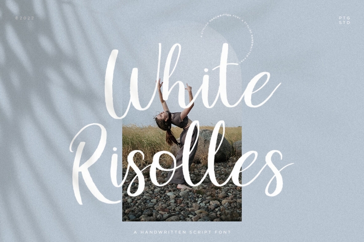 White Risolles Font Font Download