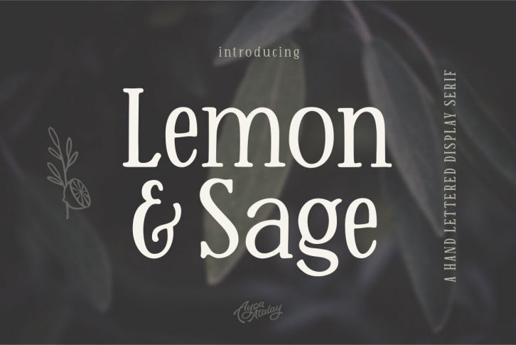 Lemon And Sage Font Font Download