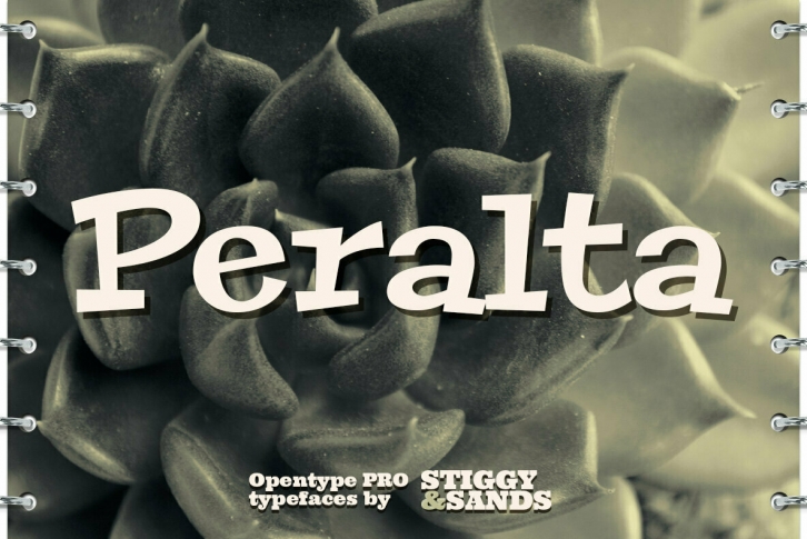 Peralta Pro Font Font Download