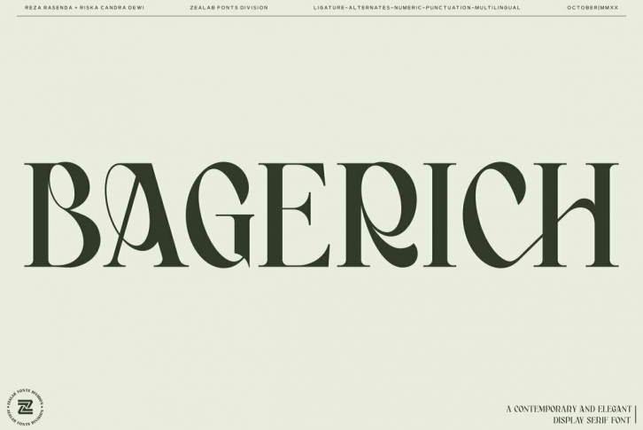 Bagerich Font Font Download
