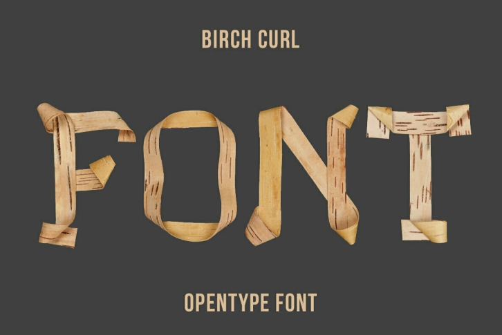 Birch Curl SVG Font Font Download