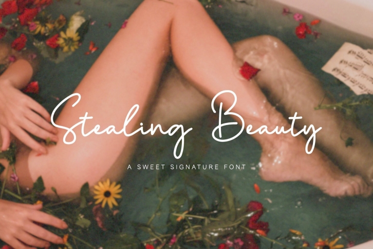 Stealing Beauty Font Font Download