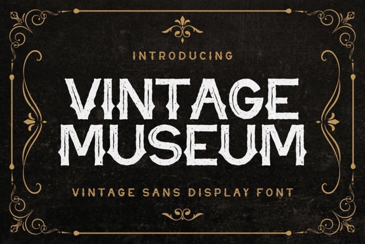 Vintage Museum Font Font Download