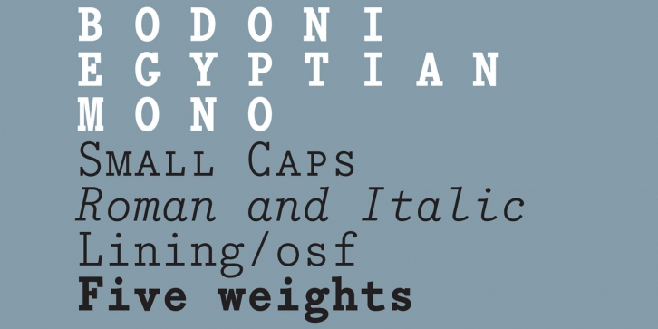 Bodoni Egyptian Mono Font Font Download