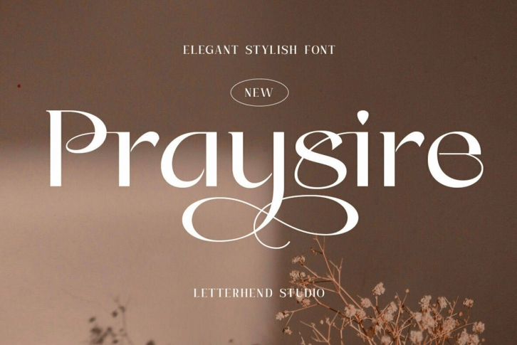 Praysire Font Font Download