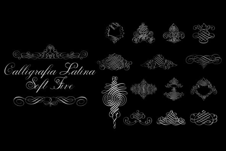 Calligraphia Latina Soft Five Font Font Download