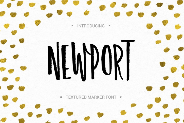 Newport Font Font Download