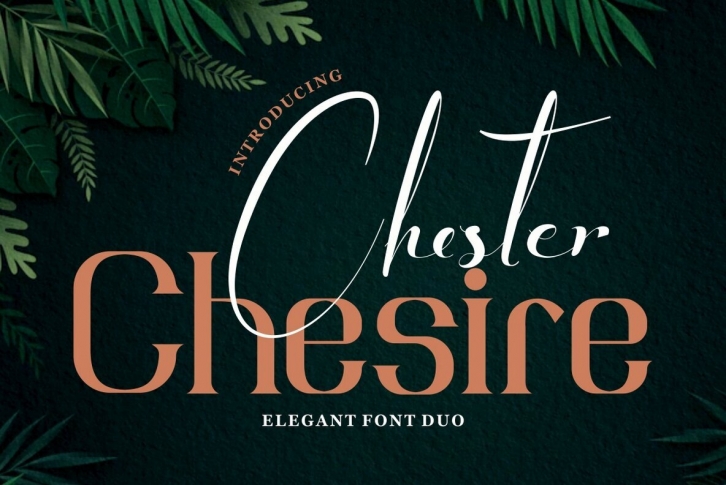 Chester Chesire Font Font Download