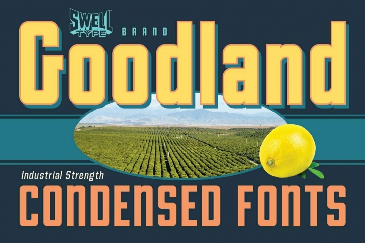 Goodland Condensed Font Font Download