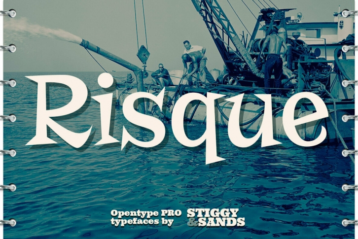 Risque Pro Font Font Download