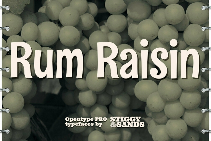 Rum Raisin Pro Font Font Download