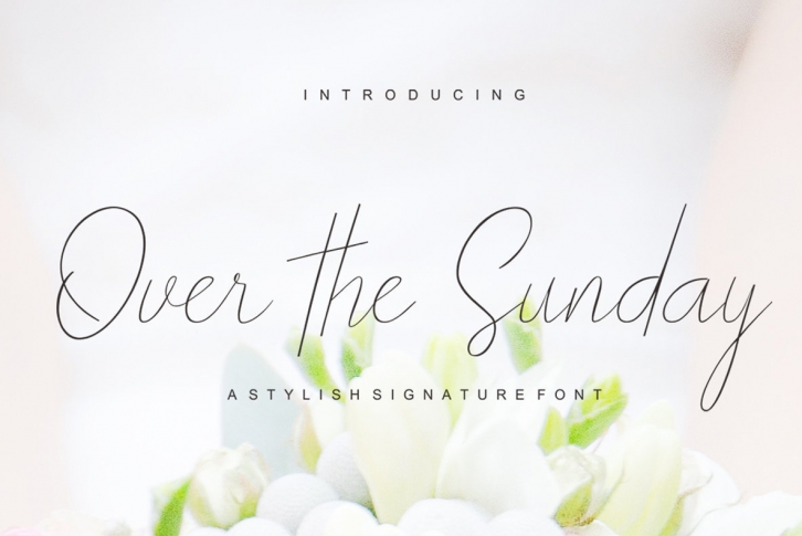 Over the Sunday Font Font Download