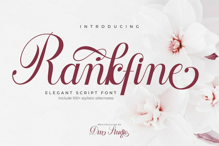 Rankfine Font Font Download