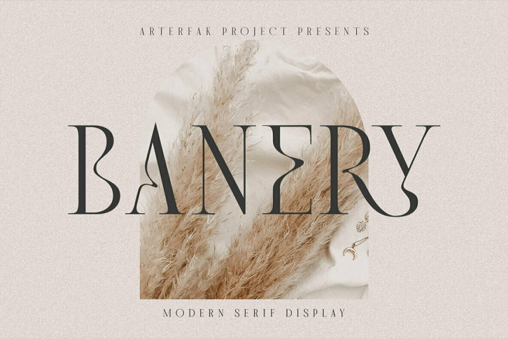 Banery Font Font Download