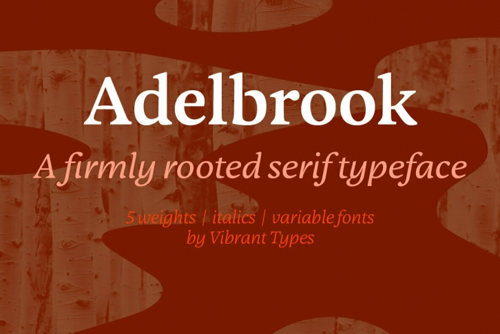 Adelbrook Font Font Download