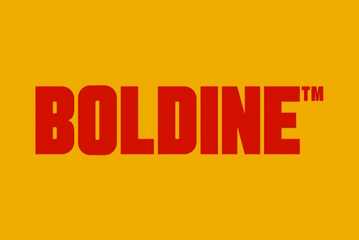 Boldine Font Font Download