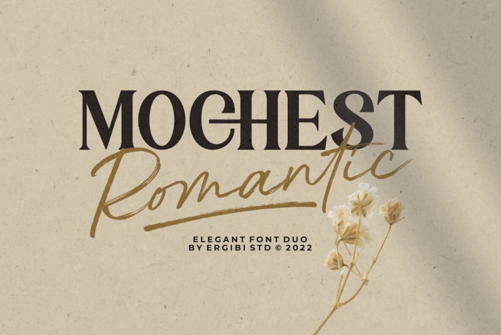 Mochest Romantic Font Font Download