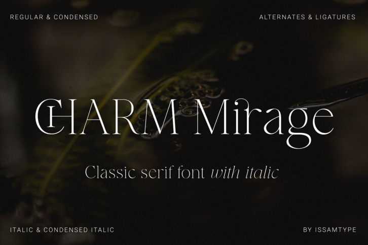 Charm Mirage Font Font Download