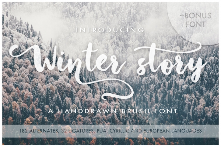 Winter story Font Font Download