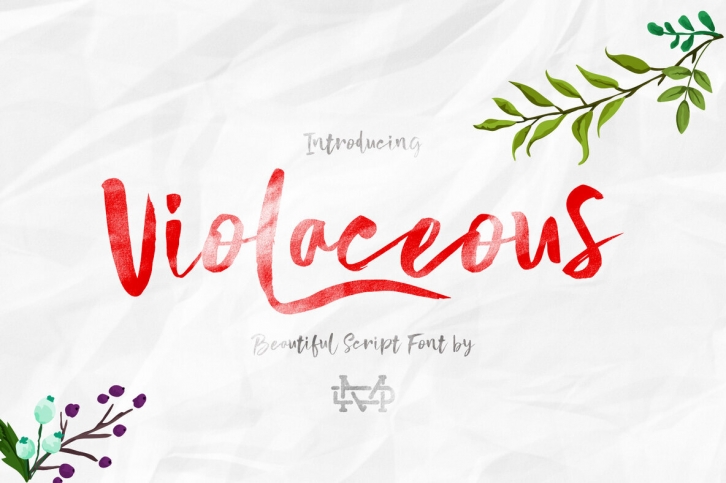 Violaceous Font Font Download