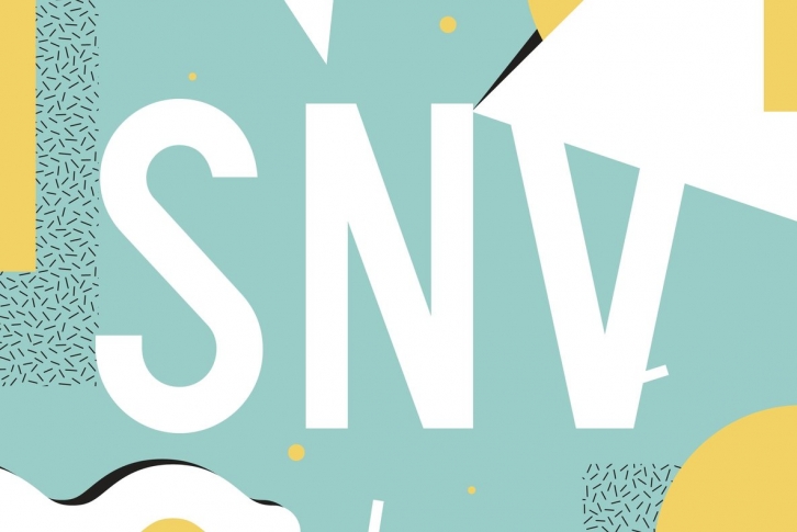 Snv Font Font Download