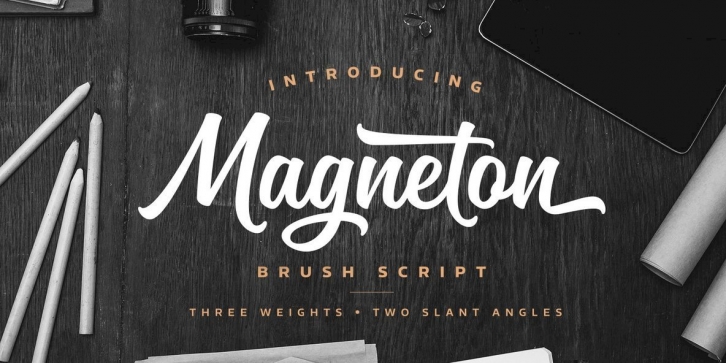 Magneton Font Font Download