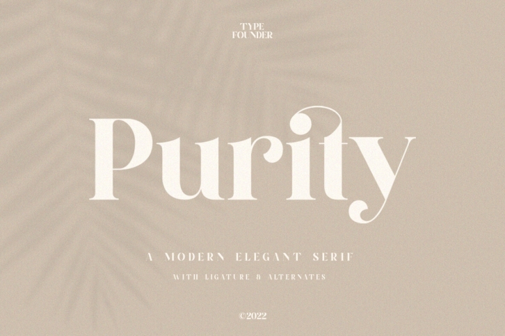 Purity Font Font Download