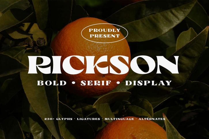 Rickson Font Font Download