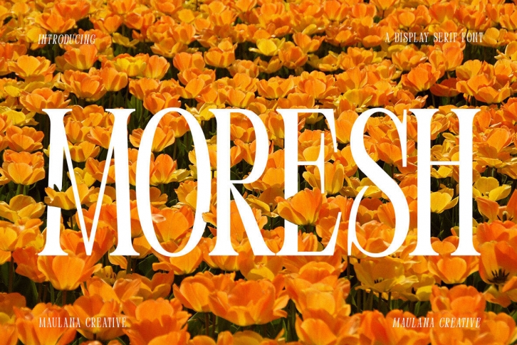 Moresh Font Font Download