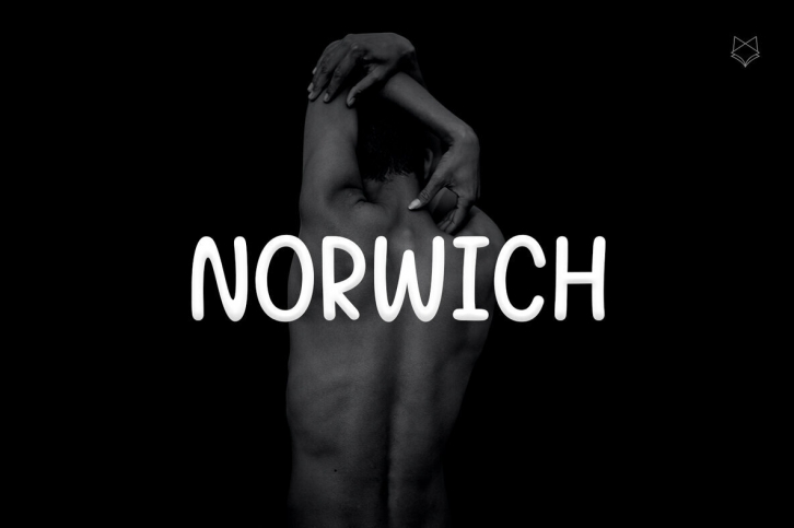 Norwich Typeface Font Font Download