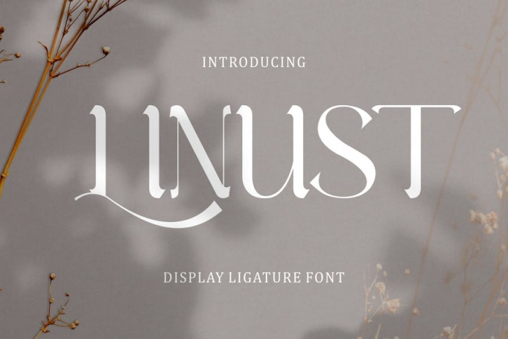 Linust - Display Modern Font Font Download