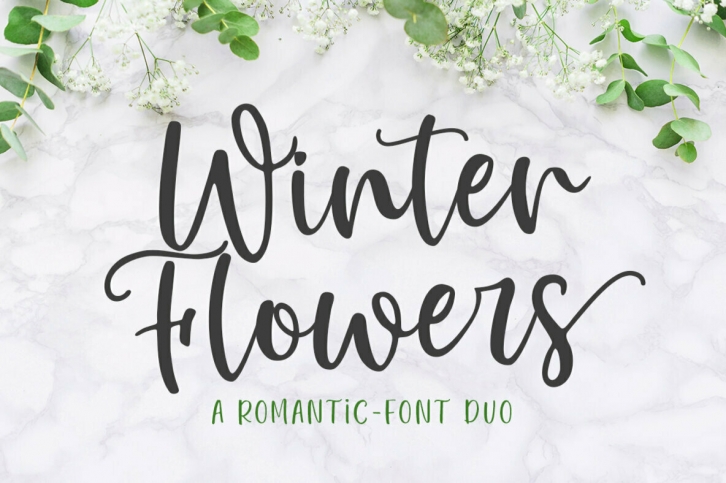 Winter Flowers Duo Font Download