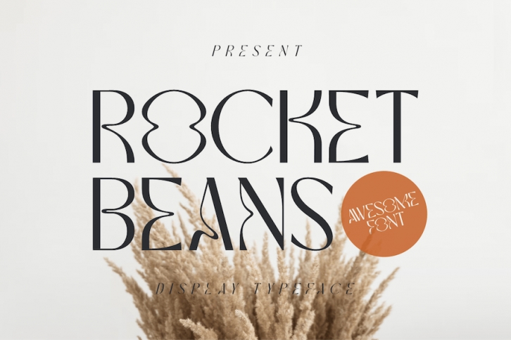 Rocket Beans Display Typeface Font Download