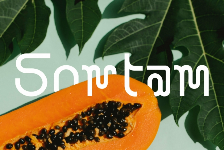 Somtam Font Font Download