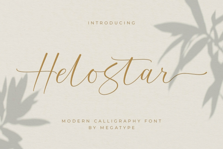 Helostar Script Font Font Download