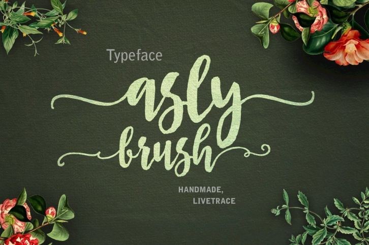 Asly Brush Font Font Download