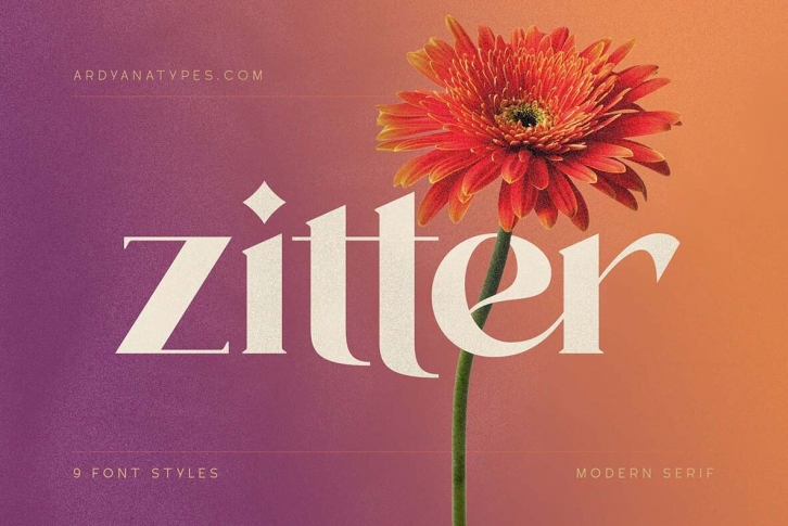 Zitter Font Font Download