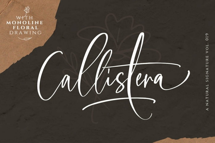 Callistera Script Font Font Download