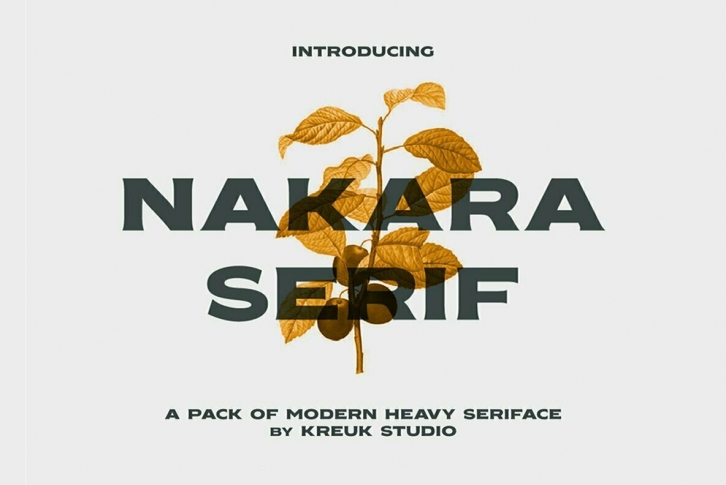 Nakara Serif Font Font Download