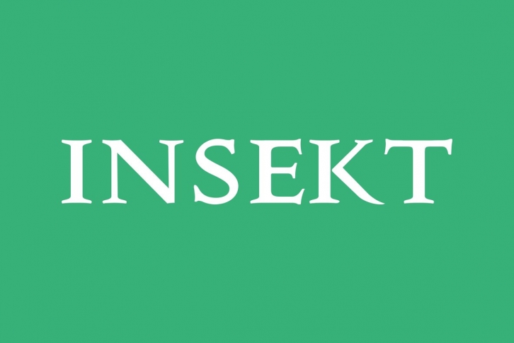 Insekt Font Font Download