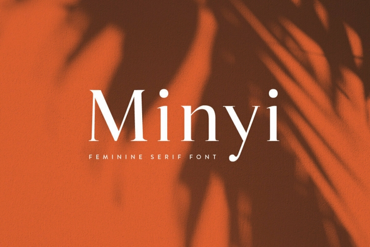 Minyi Font Font Download