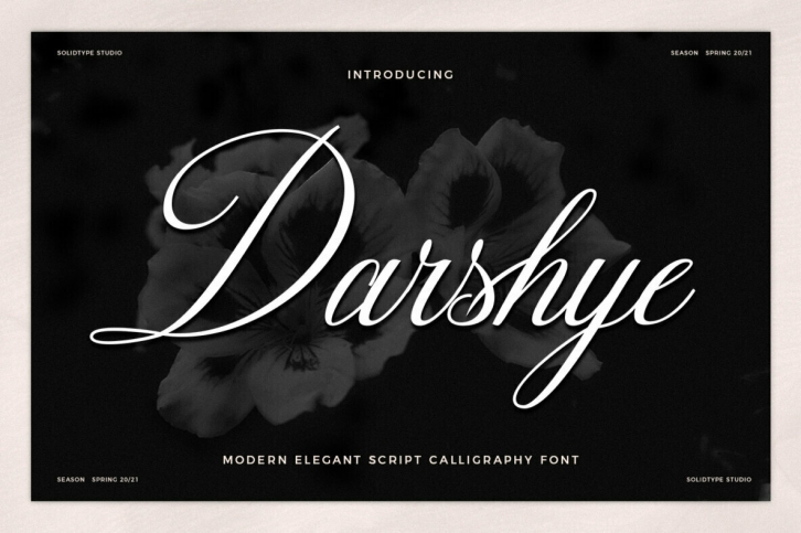 Darshye Script Font Font Download