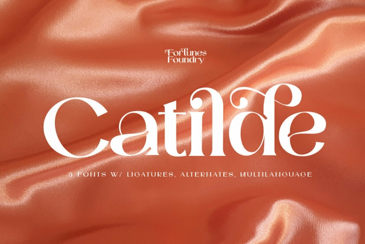 Catilde Font Font Download