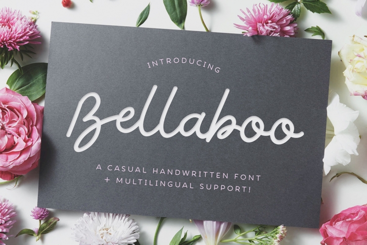 Bellaboo Font Font Download