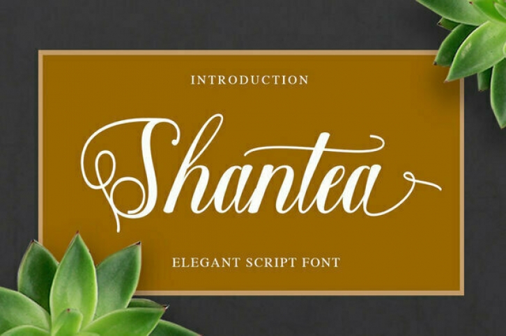 Shantea Font Font Download