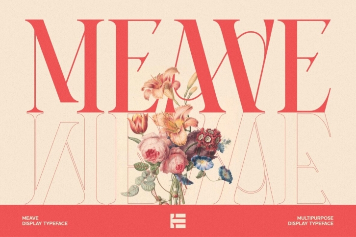 Meave Font Font Download